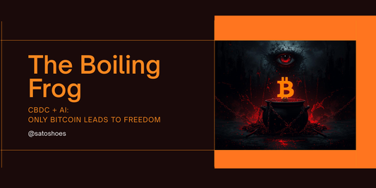 The Boiling Frog - CBDC+Ai and why Bitcoin is the only path to freedom